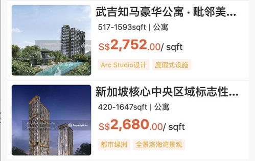 新加坡房產經(jīng)紀最怕什么 不是市場冷，是中國人搜不到你
